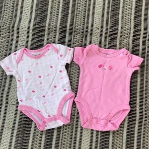 Petit lem newborn